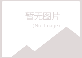 大安盼山会计有限公司